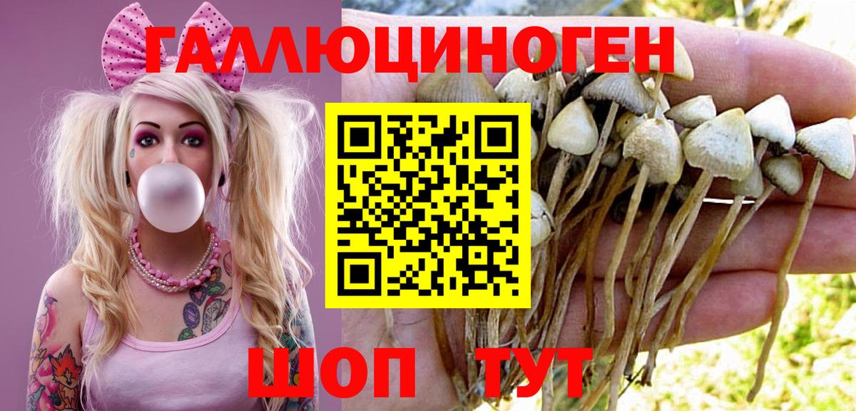 Псилоцибиновые грибы MAGIC MUSHROOMS Белорецк